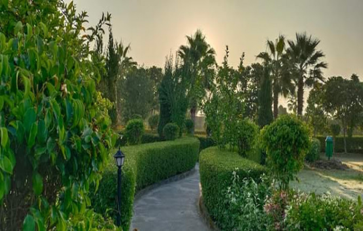 Destination Weddings Planner